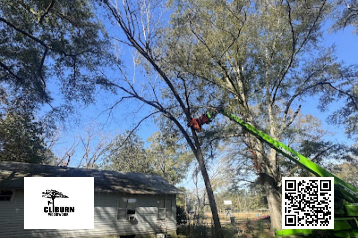 Professional Tree Service